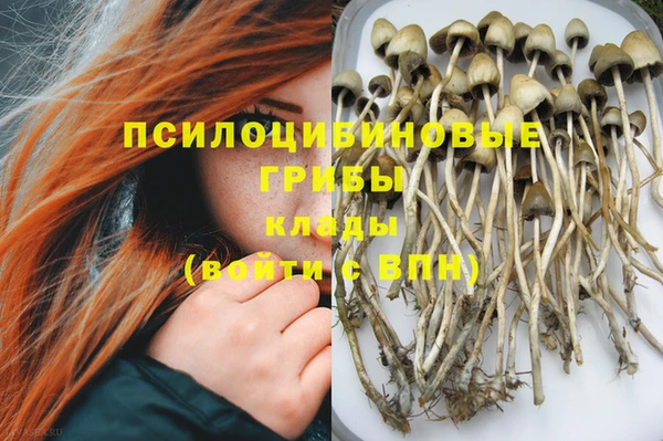 герыч Алзамай